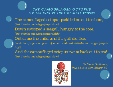 The Camouflaged Octopus