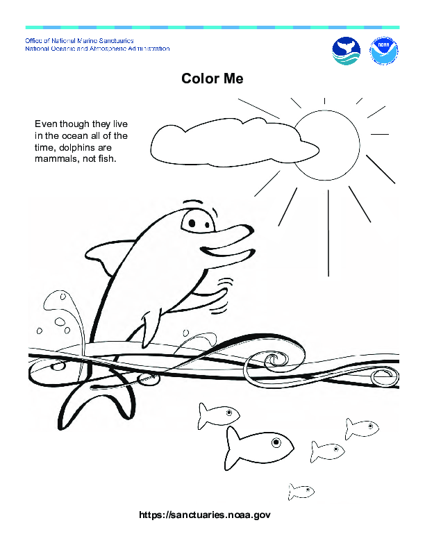 dolphin_coloring_page