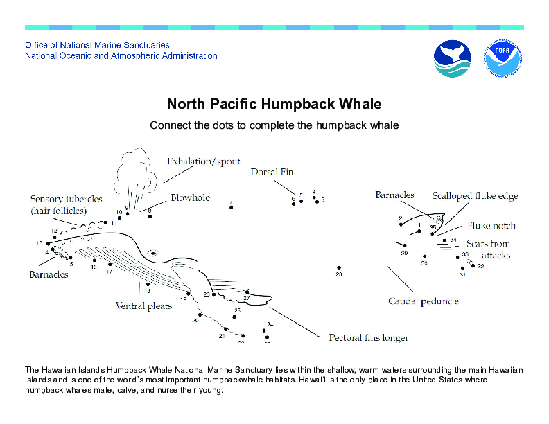 humpback_whale_connect_the_dot_page